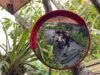 TIGA PESEPEDA KALCER PALEMBANG BENTUK KOMUNITAS RSL (ROMBONGAN SEPEDA LIPAT)